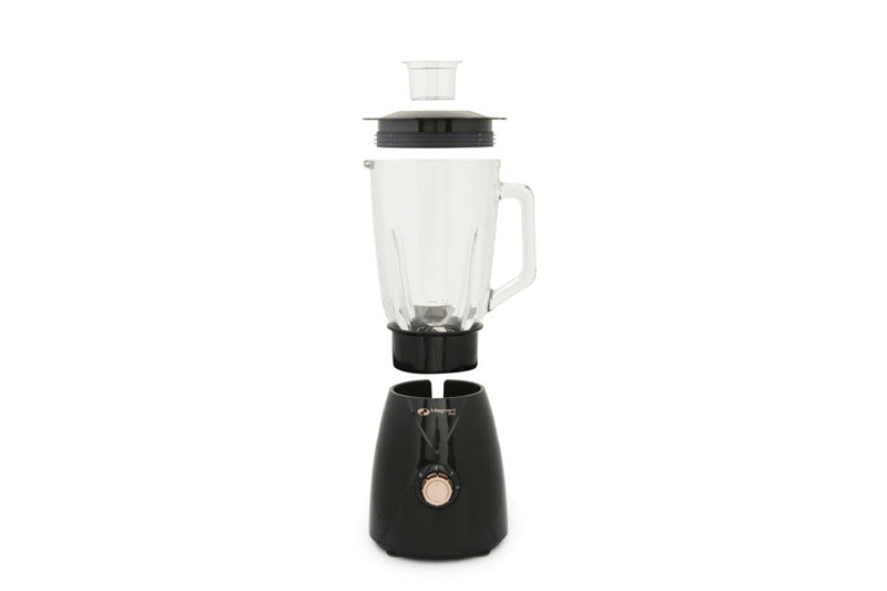 Blender 600w