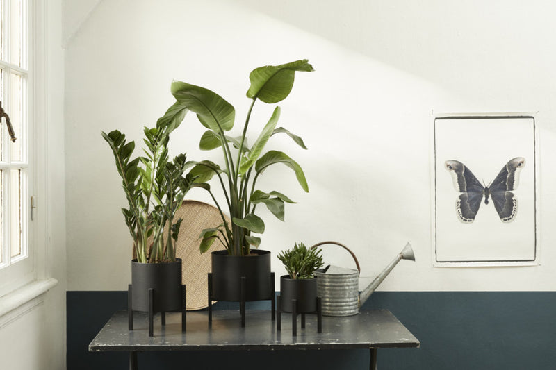 Plantenbak Lotus Hoog of Laag in Set/3