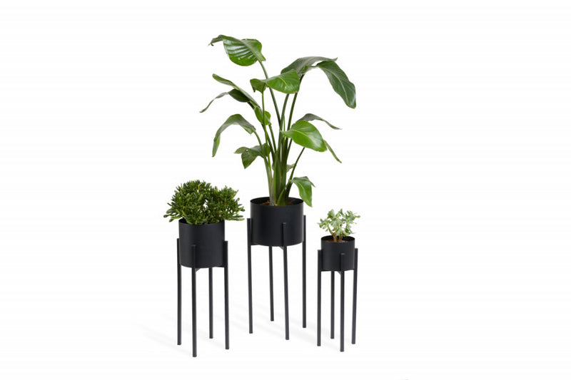 Plantenbak Lotus Hoog of Laag in Set/3