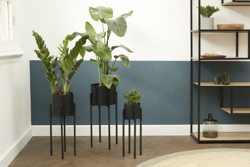 Plantenbak Lotus Hoog of Laag in Set/3
