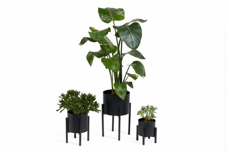 Plantenbak Lotus Hoog of Laag in Set/3